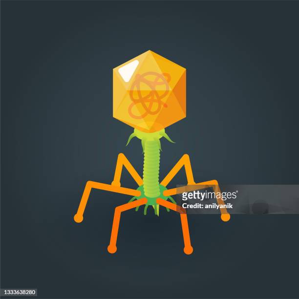 bacteriophage - epidemiology icon stock illustrations