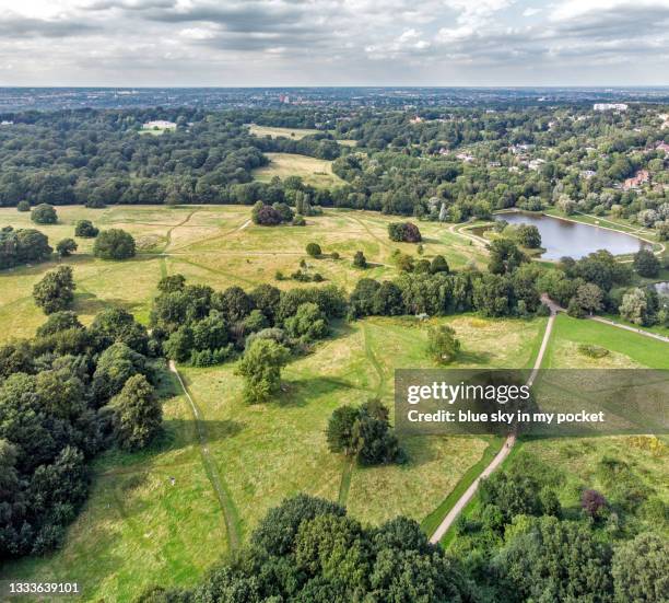 hampstead heath, london - hampstead stockfoto's en -beelden