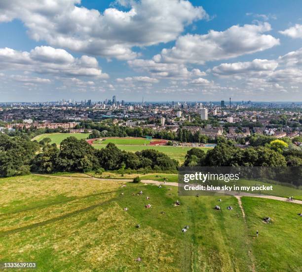 parliament hill, hampstead, london, with the skyline in summer. - hampstead heath - fotografias e filmes do acervo