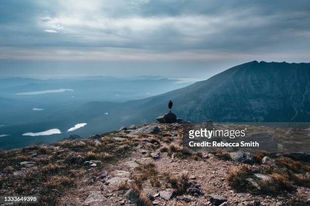 man standing on mountain - the bigger picture fotografías e imágenes de stock