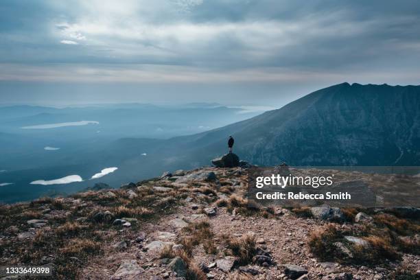 man standing on mountain - maine stockfoto's en -beelden