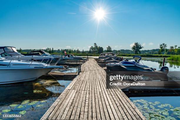 marina at emerald isle island and harrington bay, buckhorn lake, selwyn, canada - peterborough ontario 個照片及圖片檔