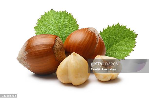 hazelnuts composition - hazelnut stock pictures, royalty-free photos & images