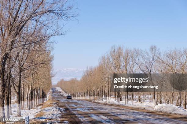 car running on the snowy boulevard. - eastern avenue stock pictures, royalty-free photos & images