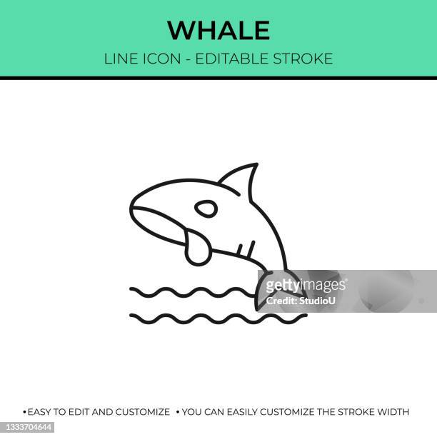 whale single line icon - blue whale stock illustrations