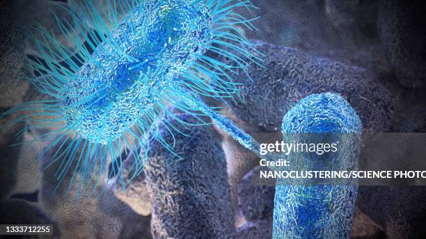 stockillustraties, clipart, cartoons en iconen met bacterial conjugation, illustration - conjugatie