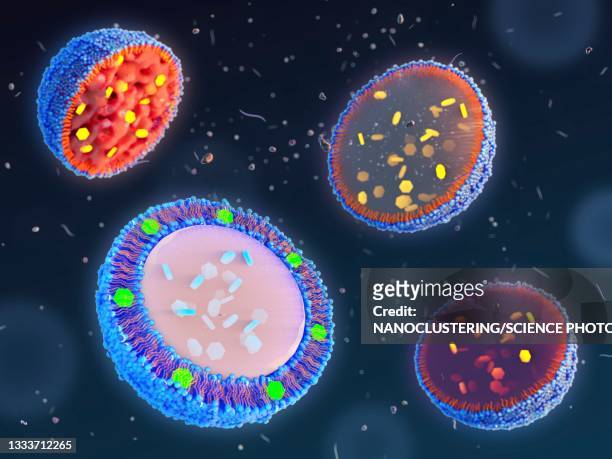 illustrazioni stock, clip art, cartoni animati e icone di tendenza di lipid-based nanoparticles for drug encapsulation, illustrati - lipide