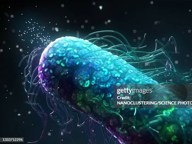 ilustrações, clipart, desenhos animados e ícones de antiparticles targeting an antibiotic-resistant bacterium - resistente a antibiótico