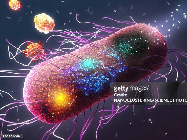 nanomaterials for antibiotic-resistant bacteria - antibiotic resistance stock illustrations