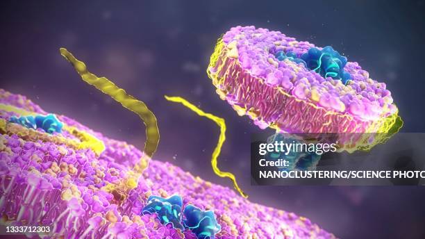 illustrations, cliparts, dessins animés et icônes de styrene maleic acid lipid particle, illustration - nanotechnologie