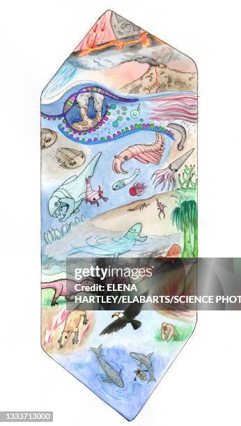 ilustraciones, imágenes clip art, dibujos animados e iconos de stock de earth timeline, illustration - cronologia geologica