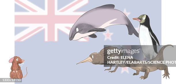 rats in new zealand, illustration - penguin stock illustrations