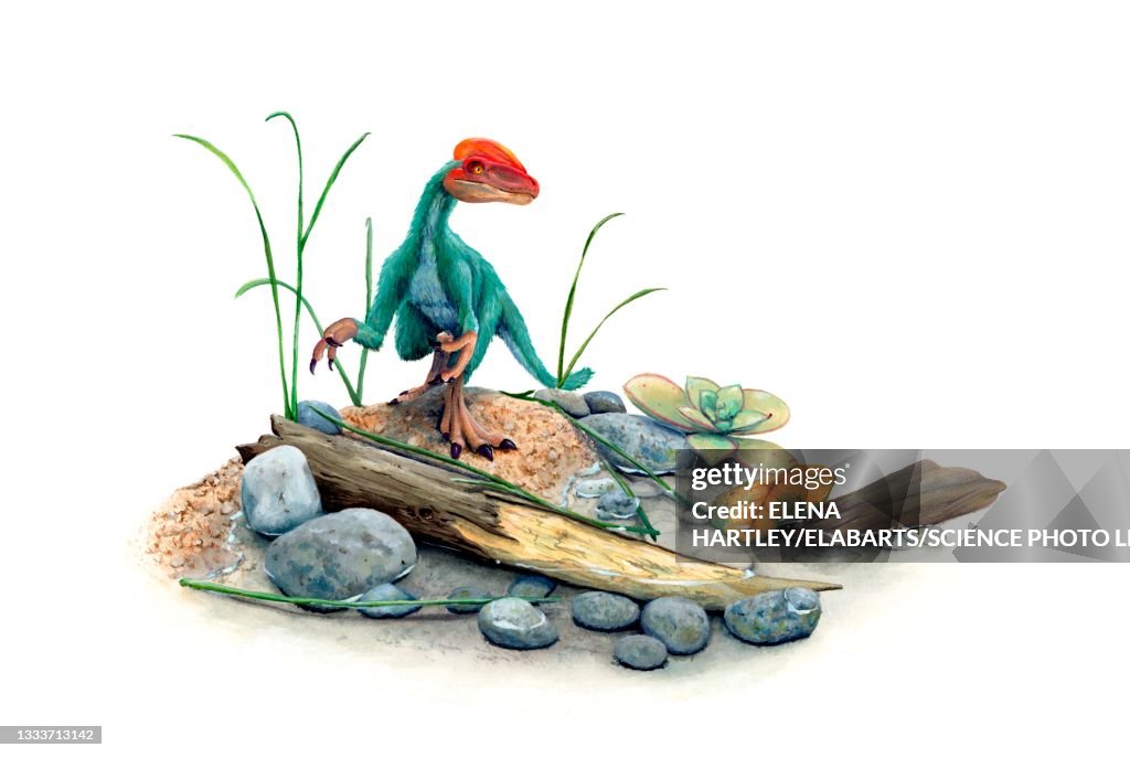 Guanlong in habitat, illustration