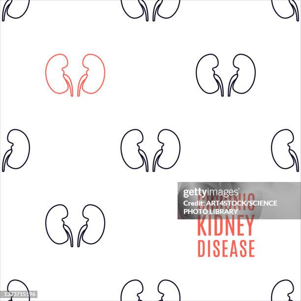 chronic kidney disease, conceptual illustration - human kidney illustrations stock illustrations