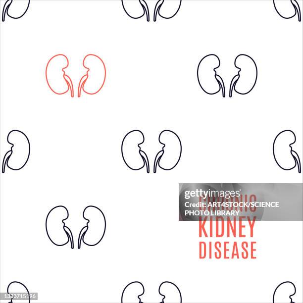 chronic kidney disease, conceptual illustration - human kidney stock illustrations