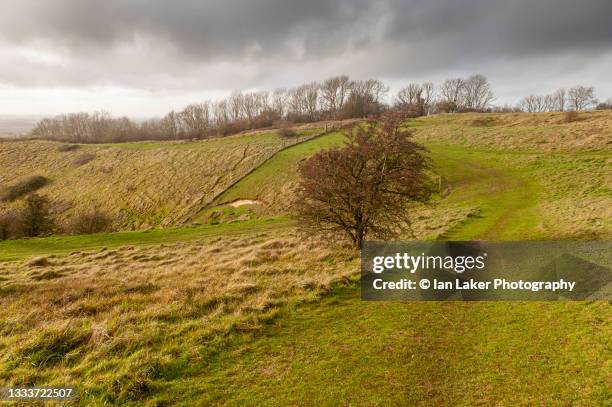wye and crundale downs, kent, england, uk. 14 december 2020. view above the devil's kneading trough. - ashford kent ストックフォトと画像