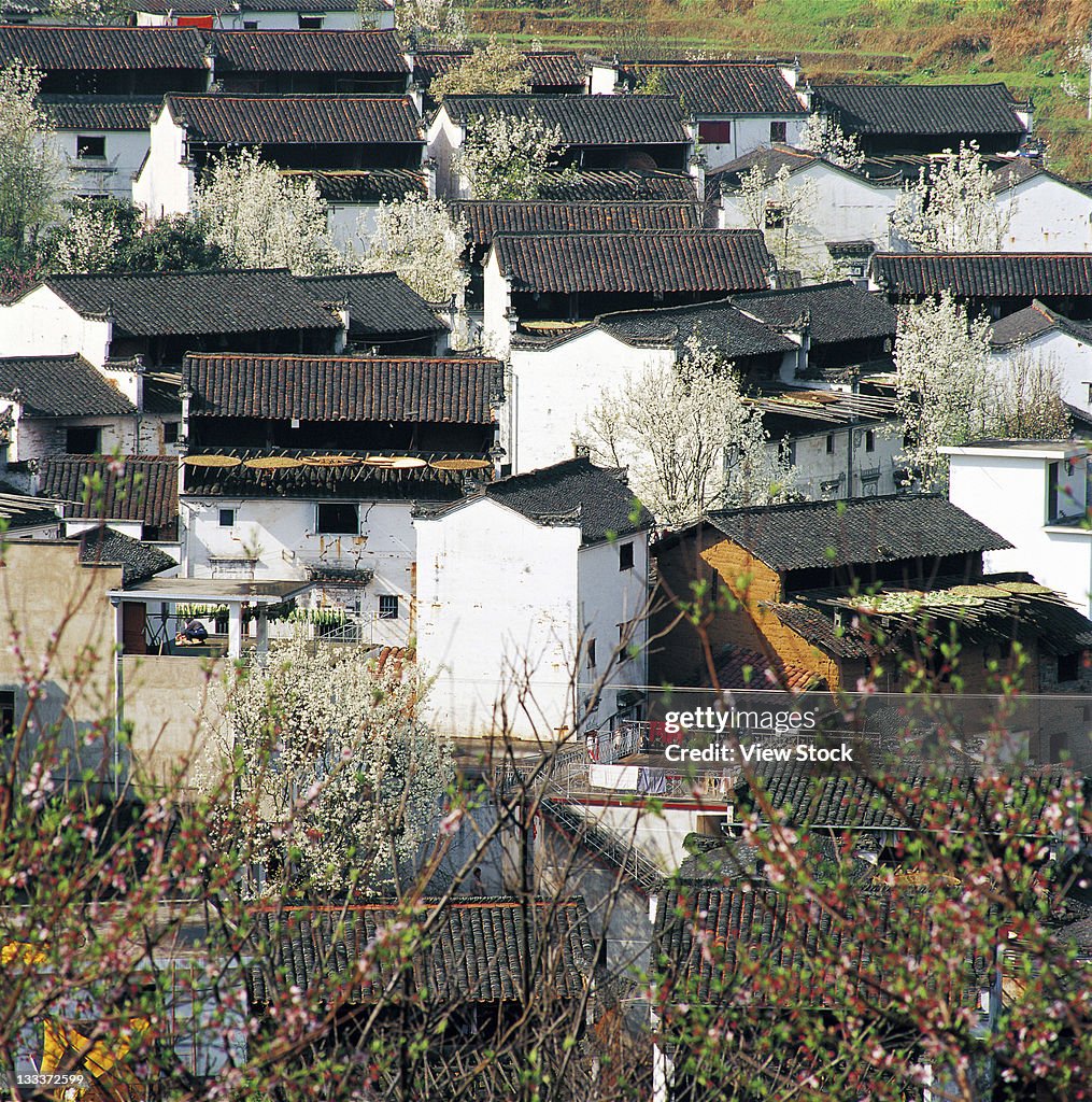 Civilian houses in Anhui,China