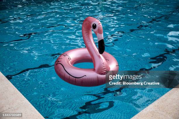 pink inflatable flamingo - plastic pool stock-fotos und bilder