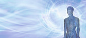Acupuncture Model Energy Meridians Message Banner