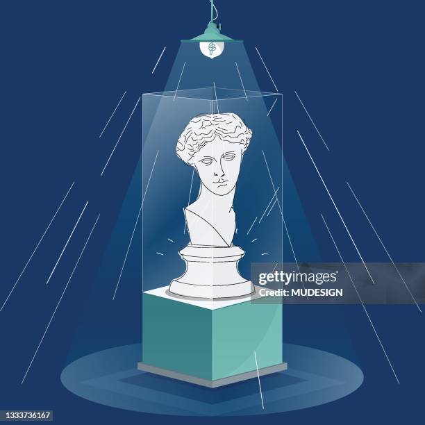 ilustrações de stock, clip art, desenhos animados e ícones de vector antique woman bust statue in the museum. ancient female sculpture illuminated with floodlights. - bust museum