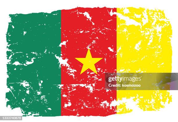 bildbanksillustrationer, clip art samt tecknat material och ikoner med grunge styled flag of cameroon - kamerun