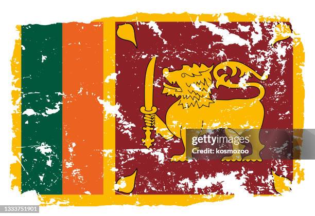 grunge-flagge von sri lanka - sri lanka flag stock-grafiken, -clipart, -cartoons und -symbole