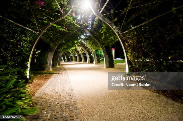 lush vines growing over vine-covered arched promenade at night, southbank, brisbane - brisbane city fotografías e imágenes de stock