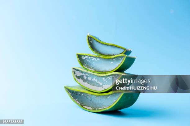 fresh aloe vera slices on blue background. health and beauty products. - aloe vera imagens e fotografias de stock