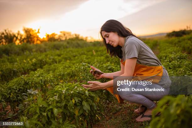 definitely worth taking a picture - trabalhador rural imagens e fotografias de stock
