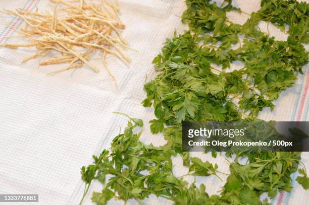 high angle view of herbs on table - oleg prokopenko stock pictures, royalty-free photos & images
