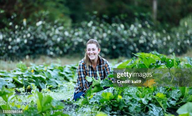woman working on farm, squatting down examining crops - florida farm stock pictures, royalty-free photos & images