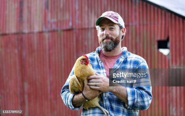 farmer holding chicken in front of red barn - chicken bird stock pictures, royalty-free photos & images