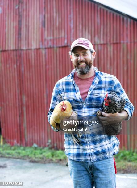 agriculteur tenant du poulet devant une grange rouge - rancher photos et images de collection