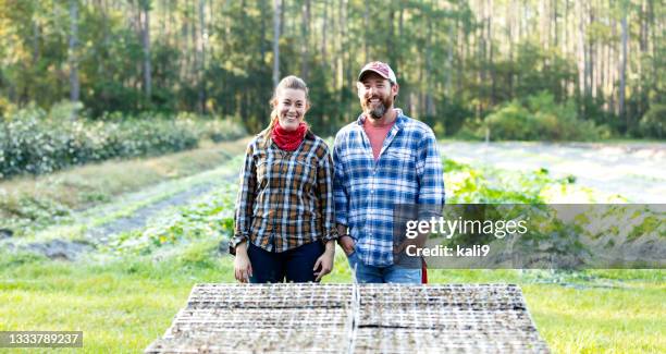 couple working on family farm, with trays of seedlings - side by side stock pictures, royalty-free photos & images