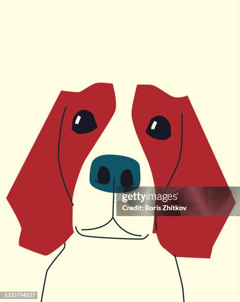 beagle. - dog stock illustrations stock pictures, royalty-free photos & images