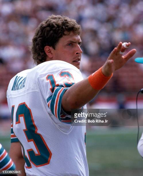1984 dolphins
