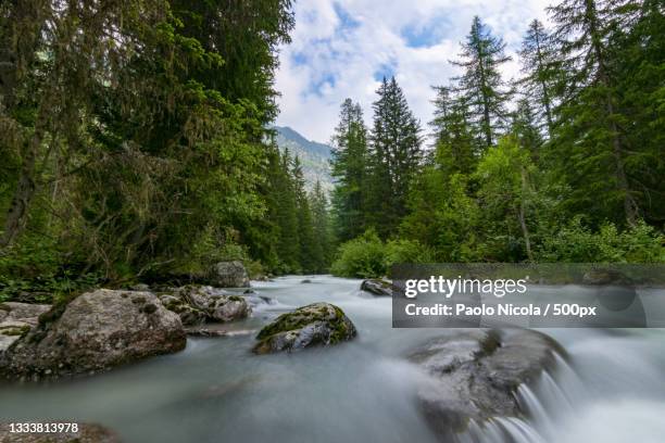 scenic view of waterfall in forest against sky,la thuile,aosta,italy - nickola beck stock pictures, royalty-free photos & images