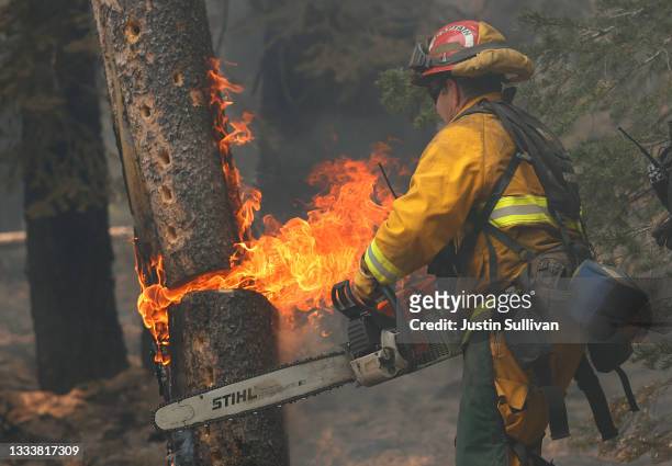 San Jose fire captain Brett Blean uses a chainsaw to cut down a tree that is on fire while battling the Dixie Fire on August 12, 2021 near Westwood,...