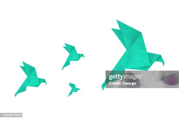 paper bird - origami bird photos et images de collection
