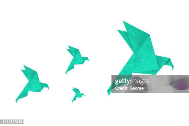 paper bird - origami stockfoto's en -beelden