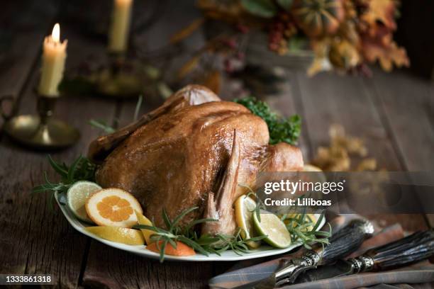 acción de gracias turquía - old fashioned thanksgiving fotografías e imágenes de stock