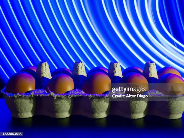 eggs in a cardboard egg cup in a modern background formed with curved blue lines. - cardboard vr stock pictures, royalty-free photos & images