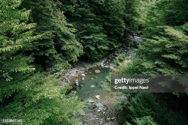 river in forest from above, iya valley, shikoku, japan - iya valley stock pictures, royalty-free photos & images