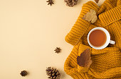 Top view photo of cup of tea on yellow pullover autumn brown leafage anise and pine cones on isolated light beige background with blank space
