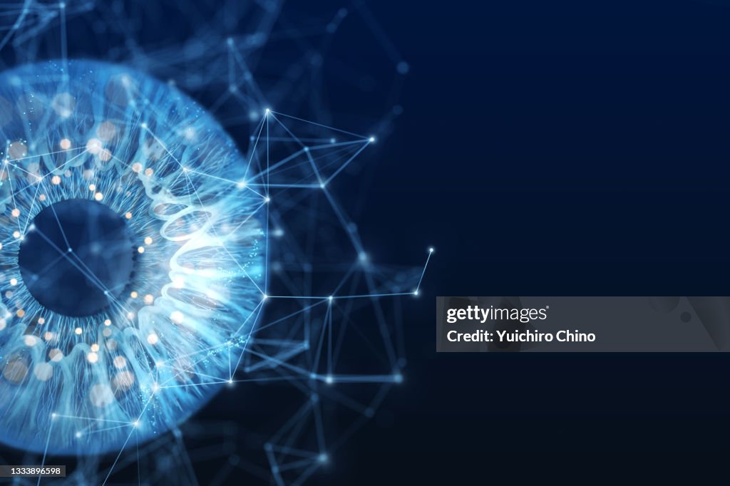 Biometric eye scan and network