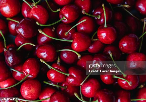 close up of a bunch of bright red cherries shot from above. - cherry stock pictures, royalty-free photos & images