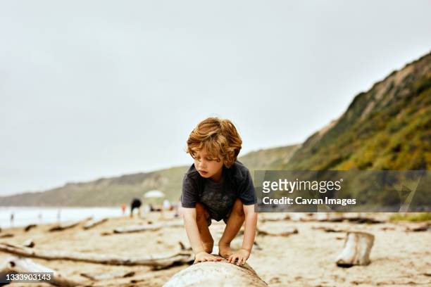 cute boy crouching on fallen tree at beach against clear sky - los angeles beach stock-fotos und bilder