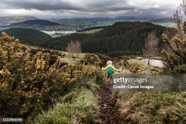 curly haired boy happily walking on trail in new zealand with arms extended - one boy only stock pictures, royalty-free photos & images