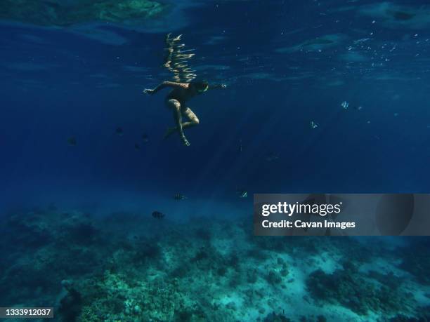 a boy is swimming under the water in red sea with fishes - sharm el sheikh stockfoto's en -beelden