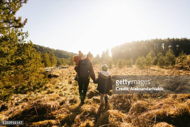 exploring beautiful outdoors together - nature reserve stock pictures, royalty-free photos & images